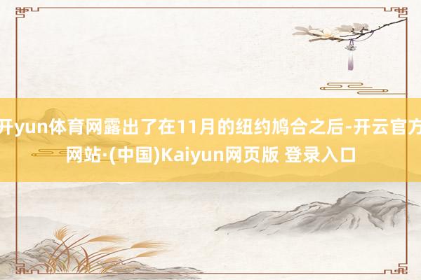 开yun体育网露出了在11月的纽约鸠合之后-开云官方网站·(中国)Kaiyun网页版 登录入口
