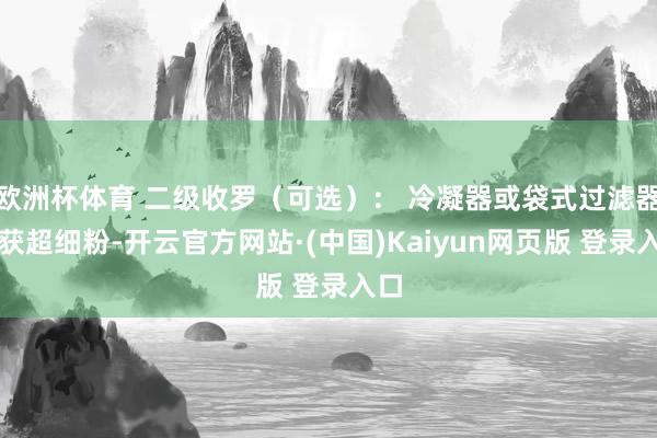 欧洲杯体育 二级收罗（可选）： 冷凝器或袋式过滤器拿获超细粉-开云官方网站·(中国)Kaiyun网页版 登录入口