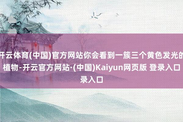 开云体育(中国)官方网站你会看到一簇三个黄色发光的植物-开云官方网站·(中国)Kaiyun网页版 登录入口